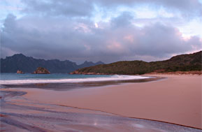 picturesque-beach-scene-at-sealersbay-newzealand